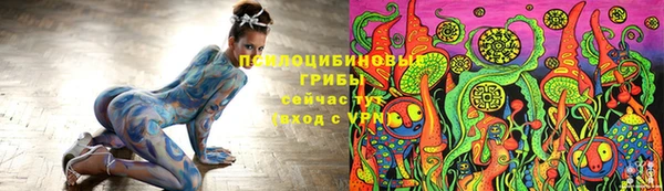 бошки Осташков