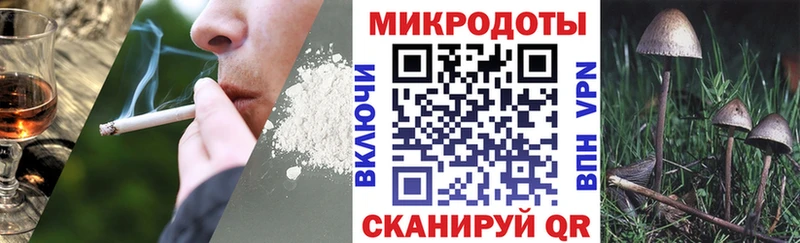 блэк спрут ONION  Лакинск  Псилоцибиновые грибы Psilocybine cubensis 